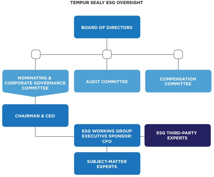 ESG Oversight Chart 2023 v1.jpg